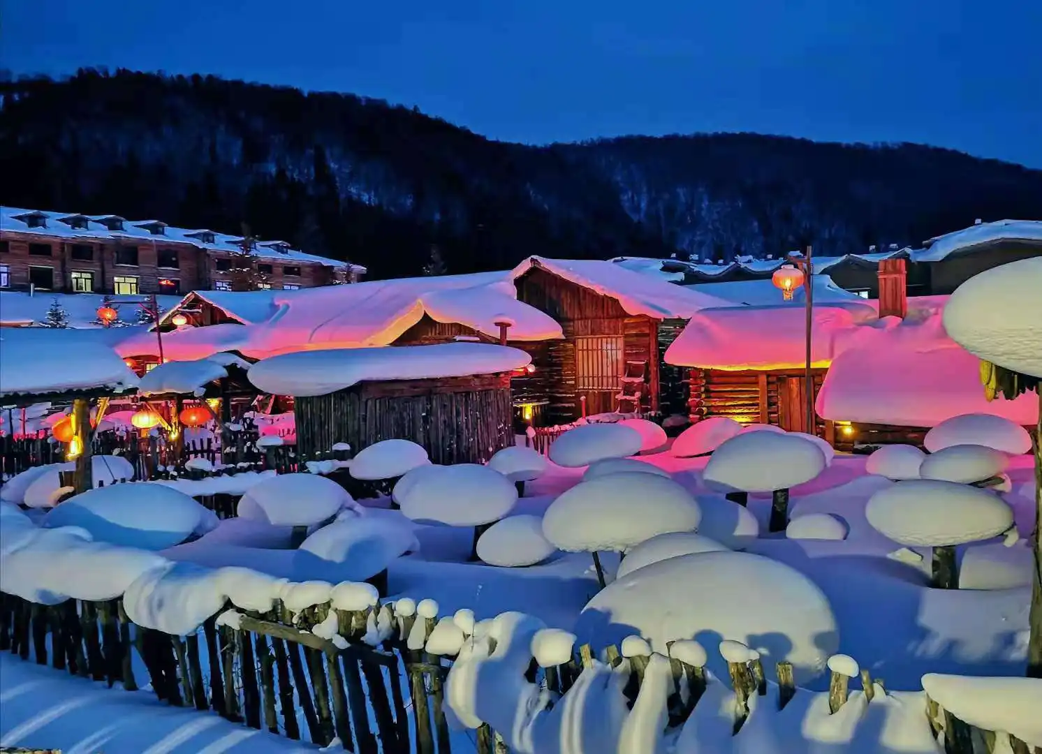 snow mushrooms